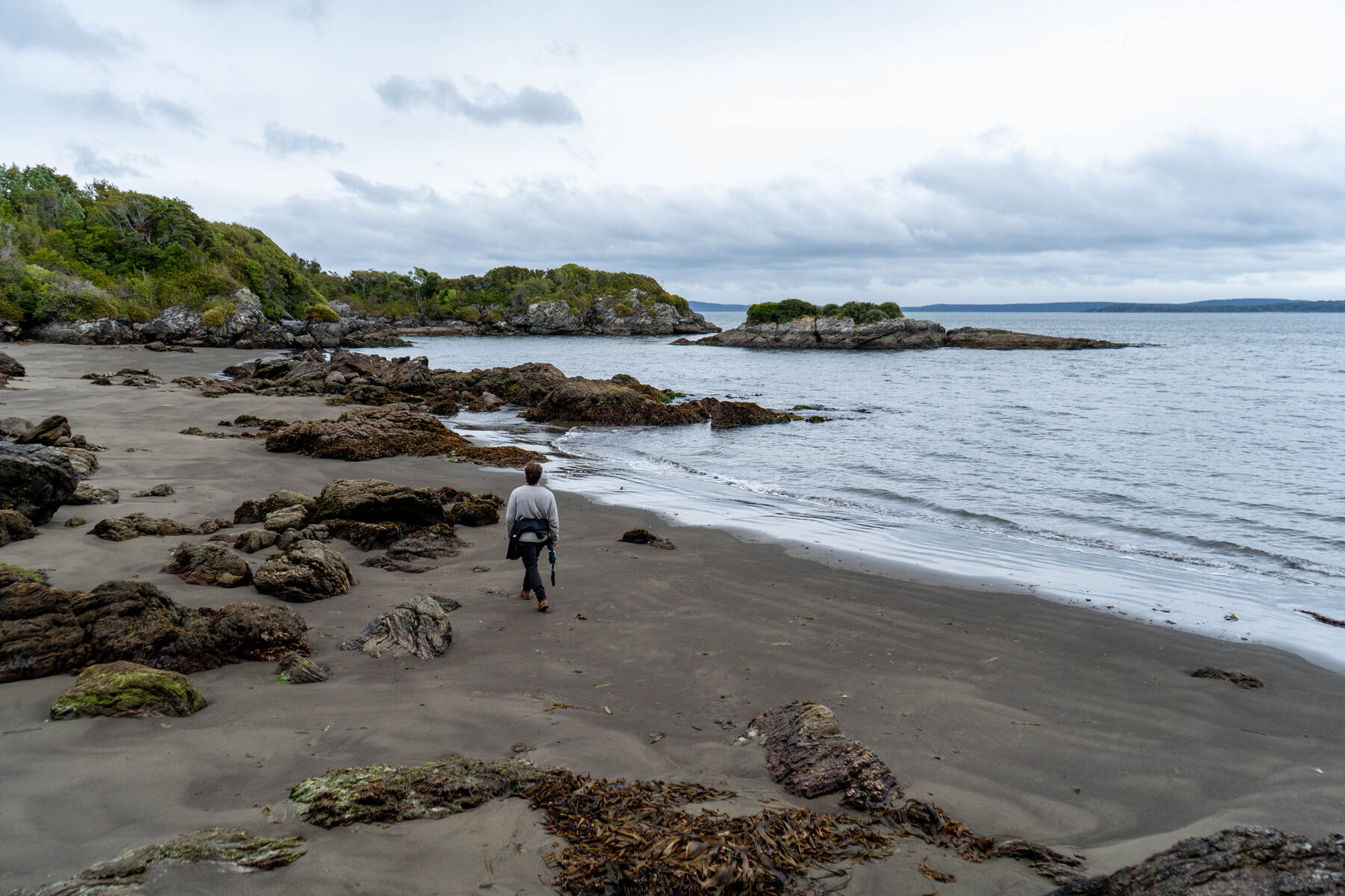Playa de arena oscura y rocas con bosque al fondo